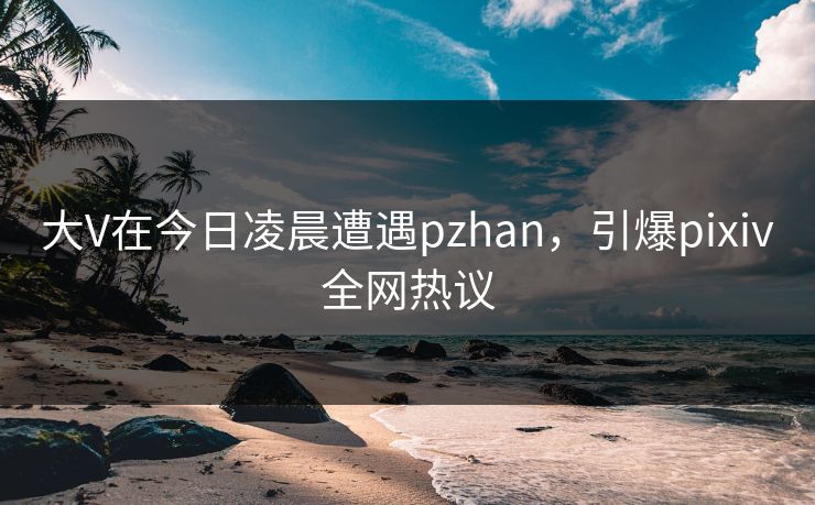 大V在今日凌晨遭遇pzhan，引爆pixiv全网热议
