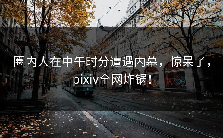 圈内人在中午时分遭遇内幕，惊呆了，pixiv全网炸锅！